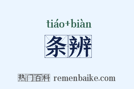 条辨是什么意思的图片
